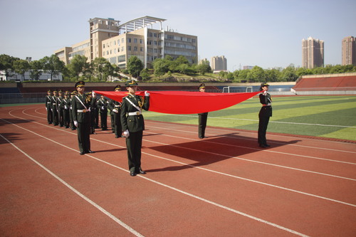 _MG_0374 _MG_0374