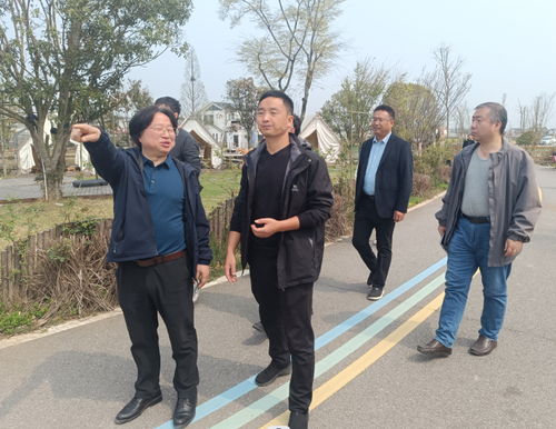 图片4