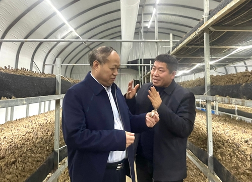 龙山党委会2