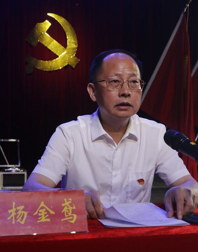 杨 杨